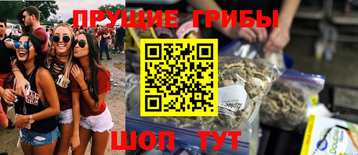 Псилоцибиновые грибы MAGIC MUSHROOMS  Вход с VPN  Псилоцибиновые грибы прущие грибы  Губкинский 
